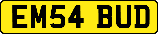 EM54BUD