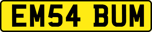 EM54BUM