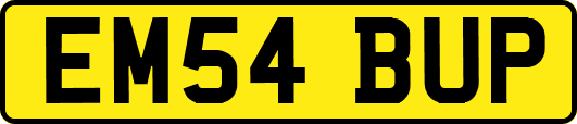 EM54BUP