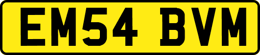 EM54BVM