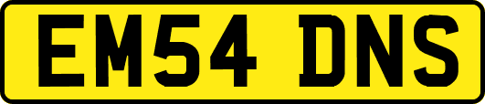 EM54DNS