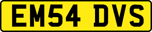 EM54DVS