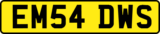 EM54DWS