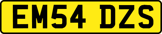 EM54DZS