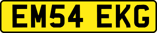 EM54EKG