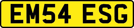 EM54ESG