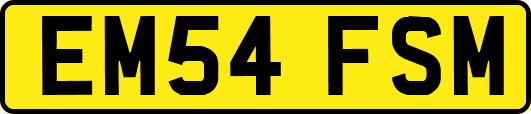 EM54FSM