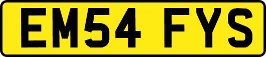 EM54FYS