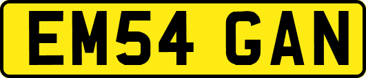 EM54GAN