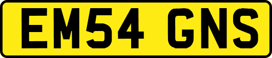 EM54GNS