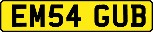EM54GUB