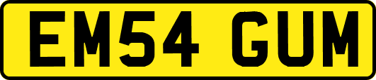 EM54GUM