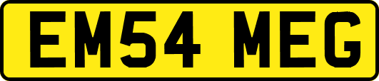 EM54MEG