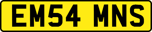 EM54MNS