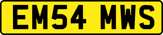 EM54MWS