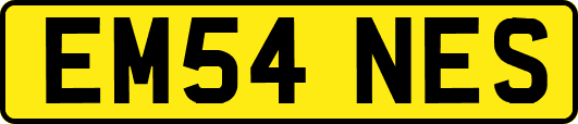 EM54NES