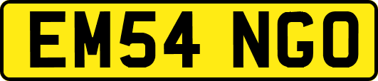 EM54NGO