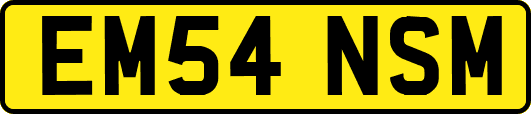 EM54NSM