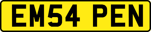 EM54PEN