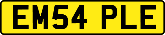 EM54PLE