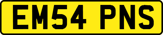 EM54PNS