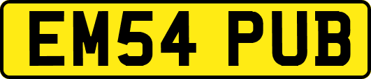 EM54PUB