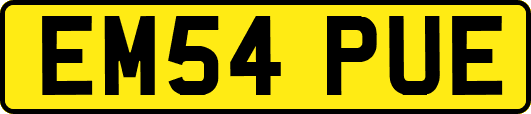 EM54PUE