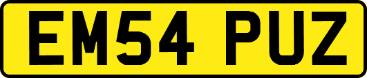 EM54PUZ