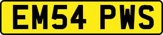EM54PWS