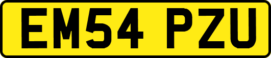 EM54PZU