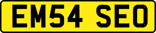 EM54SEO