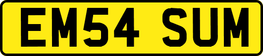 EM54SUM