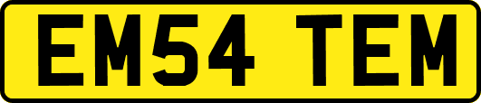 EM54TEM