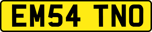 EM54TNO