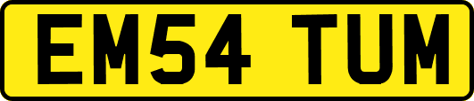 EM54TUM