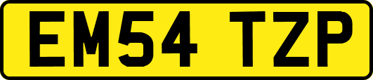 EM54TZP