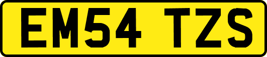 EM54TZS