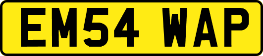 EM54WAP