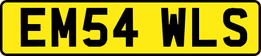 EM54WLS