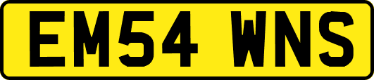 EM54WNS
