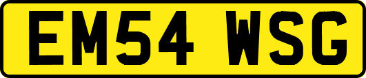 EM54WSG