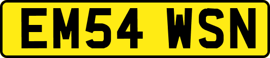EM54WSN