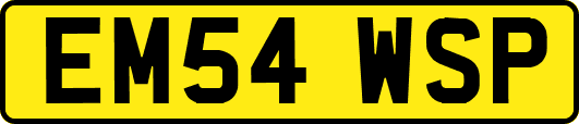 EM54WSP