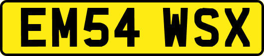 EM54WSX