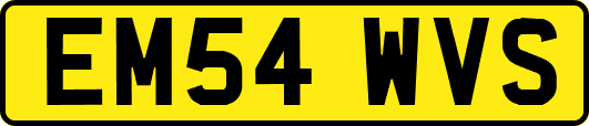EM54WVS