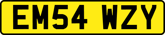 EM54WZY