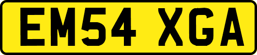 EM54XGA