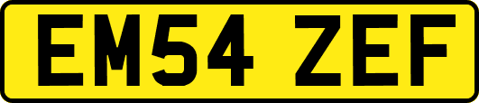 EM54ZEF