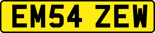 EM54ZEW