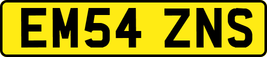 EM54ZNS